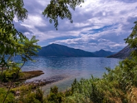 Kotor